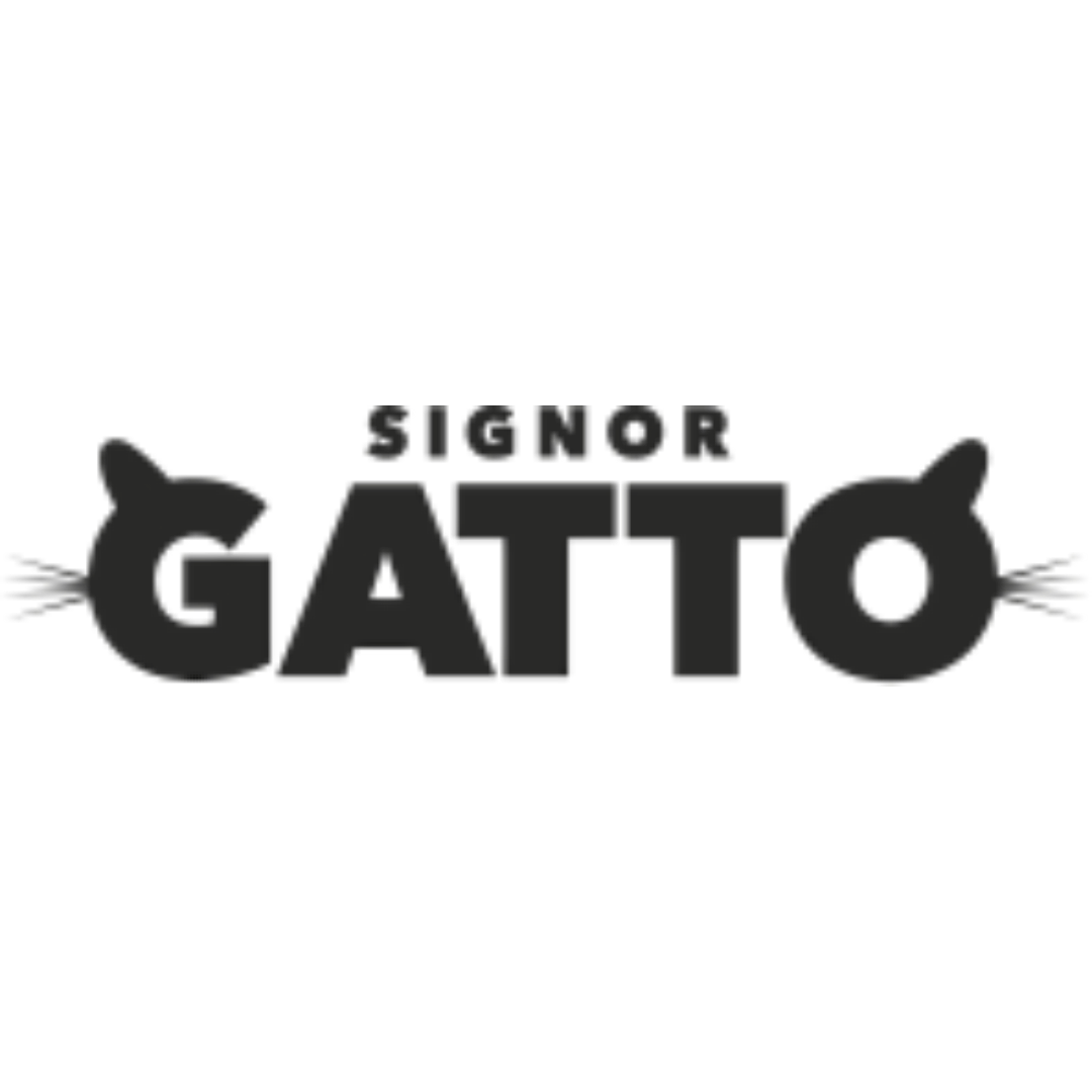 Signor Gatto